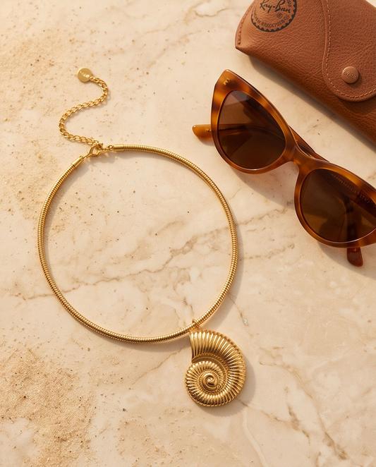Paros seashell